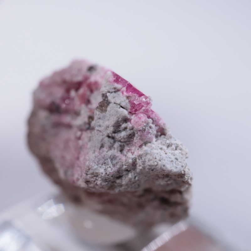 Ruby Violet Claim������åɥ٥��