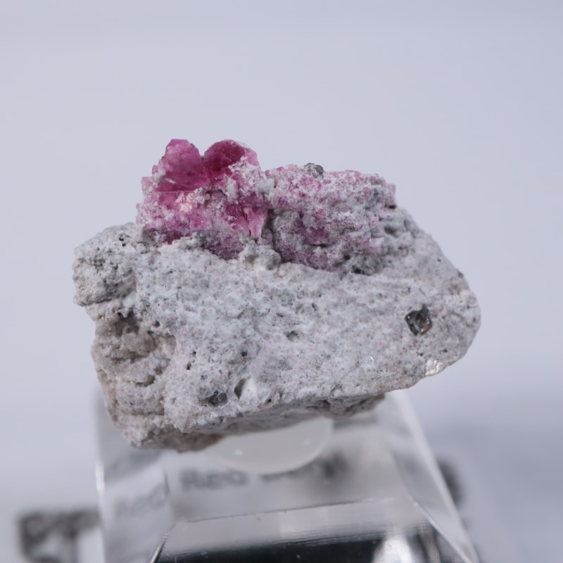 Ruby Violet Claim������åɥ٥��