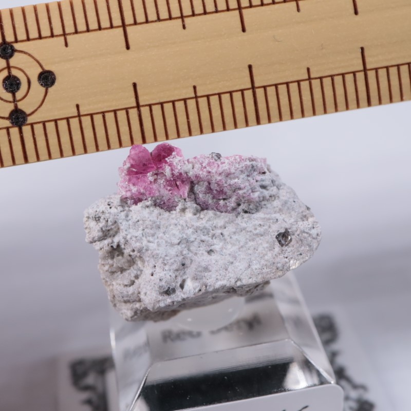 Ruby Violet Claim������åɥ٥��