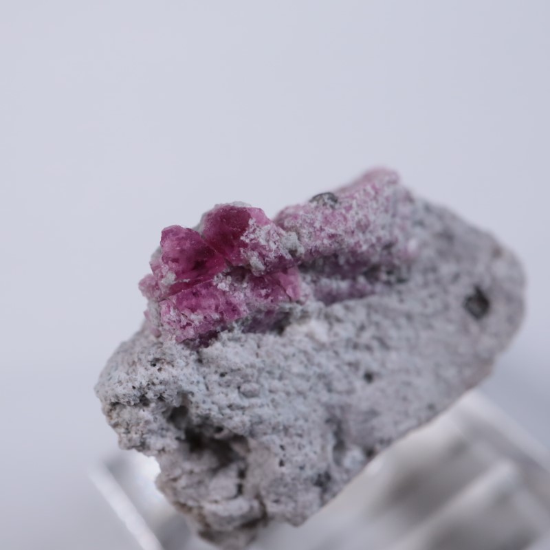 Ruby Violet Claim������åɥ٥��