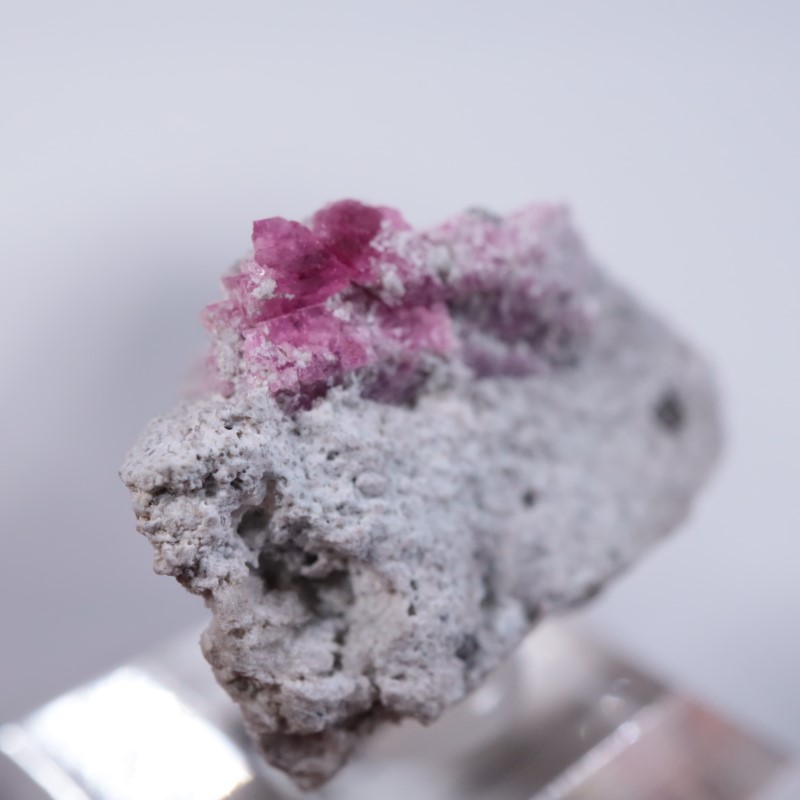 Ruby Violet Claim������åɥ٥��