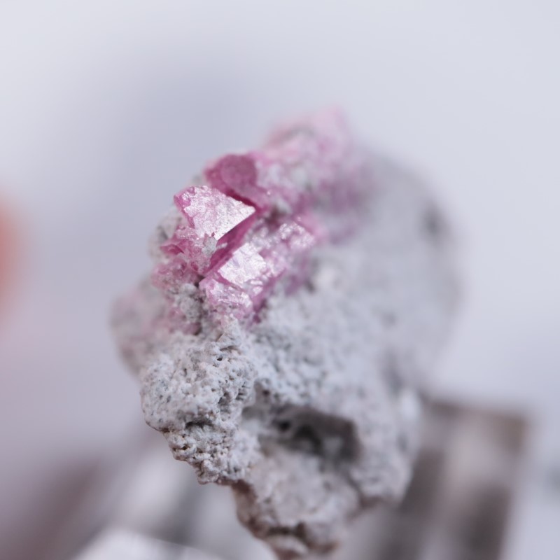 Ruby Violet Claim������åɥ٥��