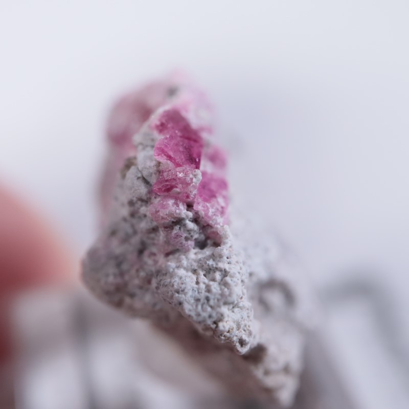 Ruby Violet Claim������åɥ٥��