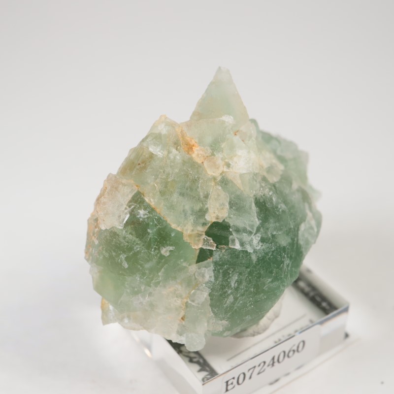 El Hammam�ۻ�������