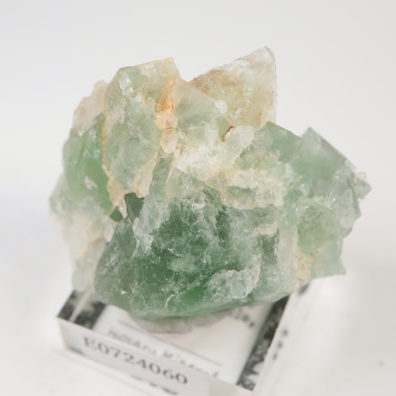 El Hammam�ۻ�������