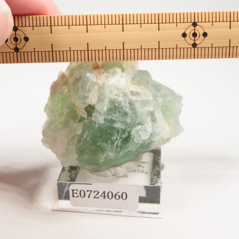 El Hammam�ۻ�������