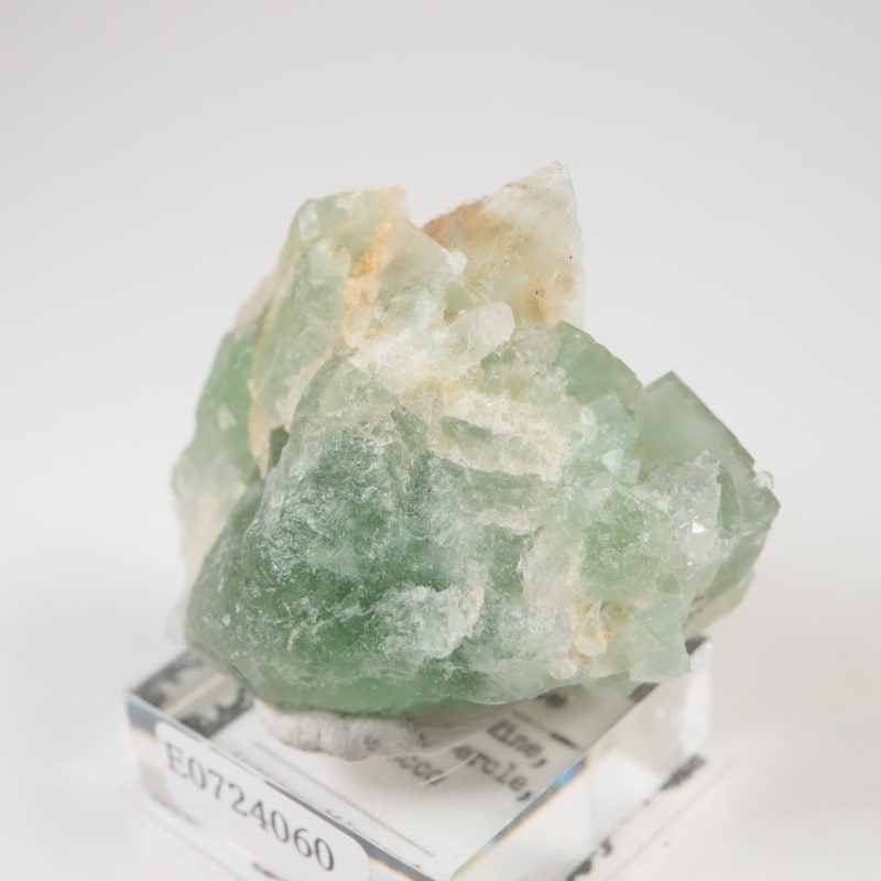 El Hammam�ۻ�������