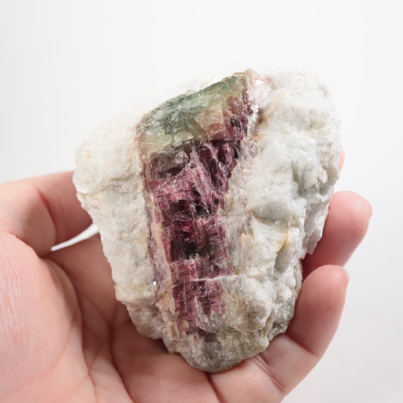 �֥饸�뻺 �ȥ�ޥ��