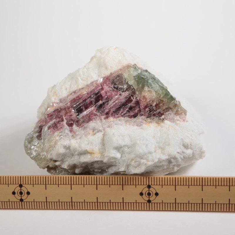 �֥饸�뻺 �ȥ�ޥ��