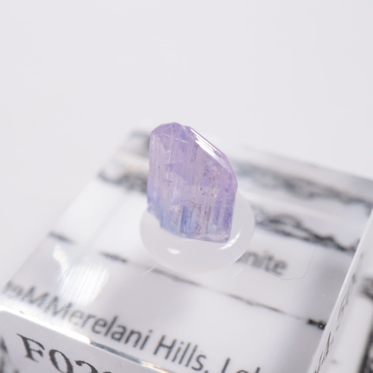 ����˥ҥ륺�� ���󥶥ʥ���