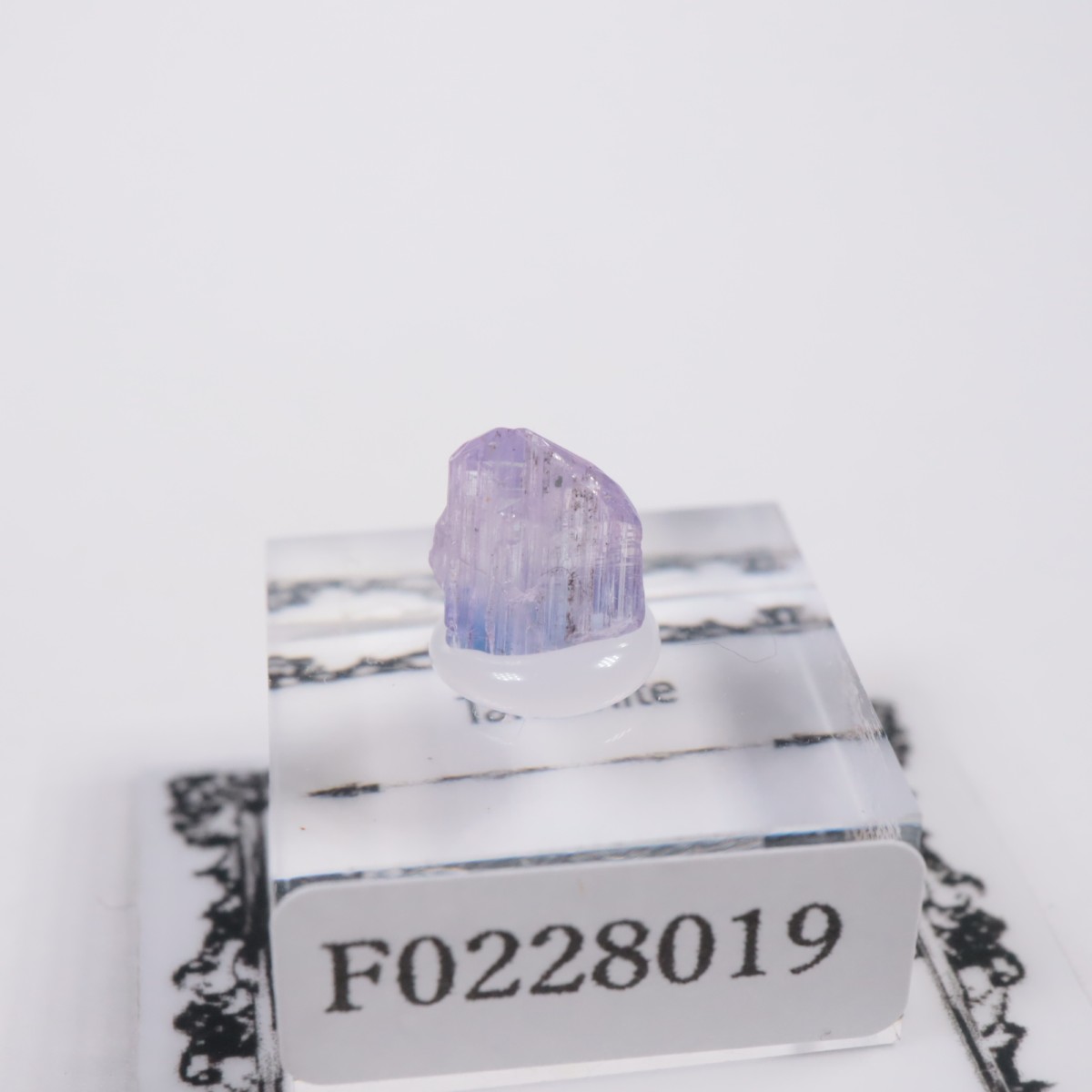 ����˥ҥ륺�� ���󥶥ʥ���