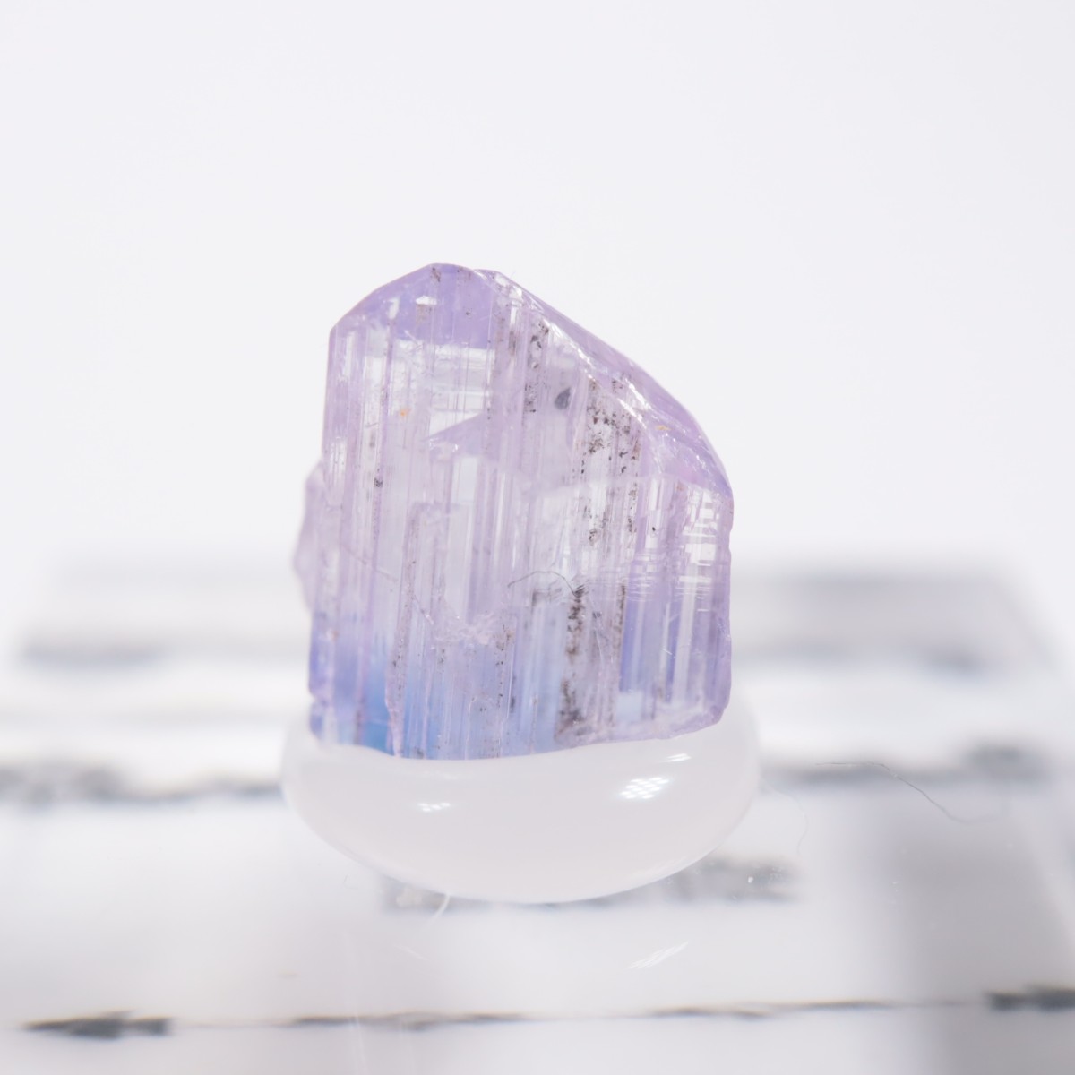 ����˥ҥ륺�� ���󥶥ʥ���