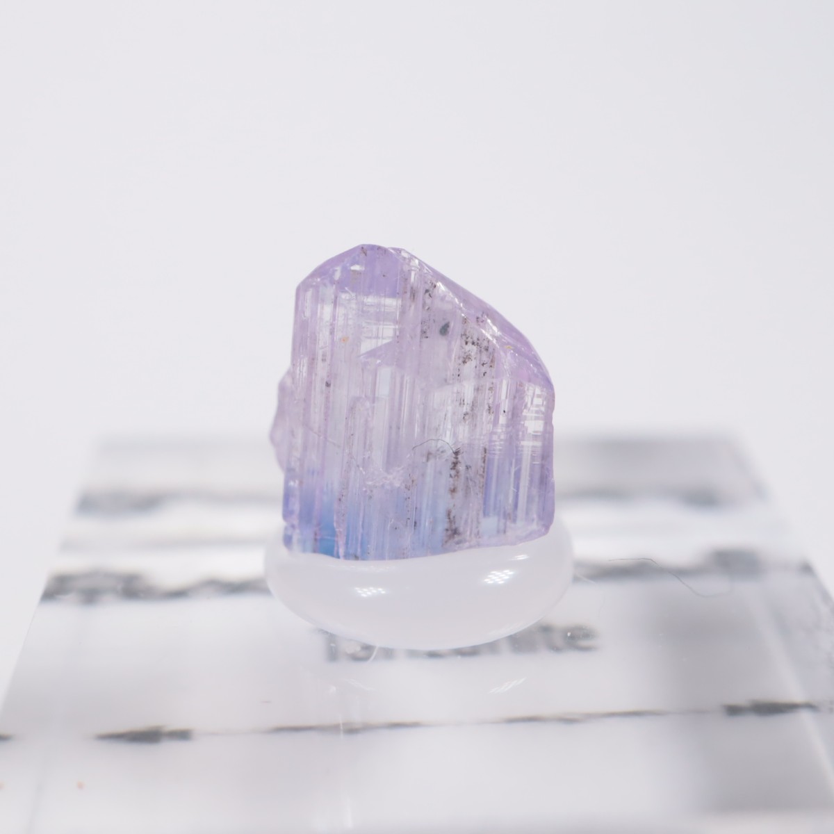 ����˥ҥ륺�� ���󥶥ʥ���