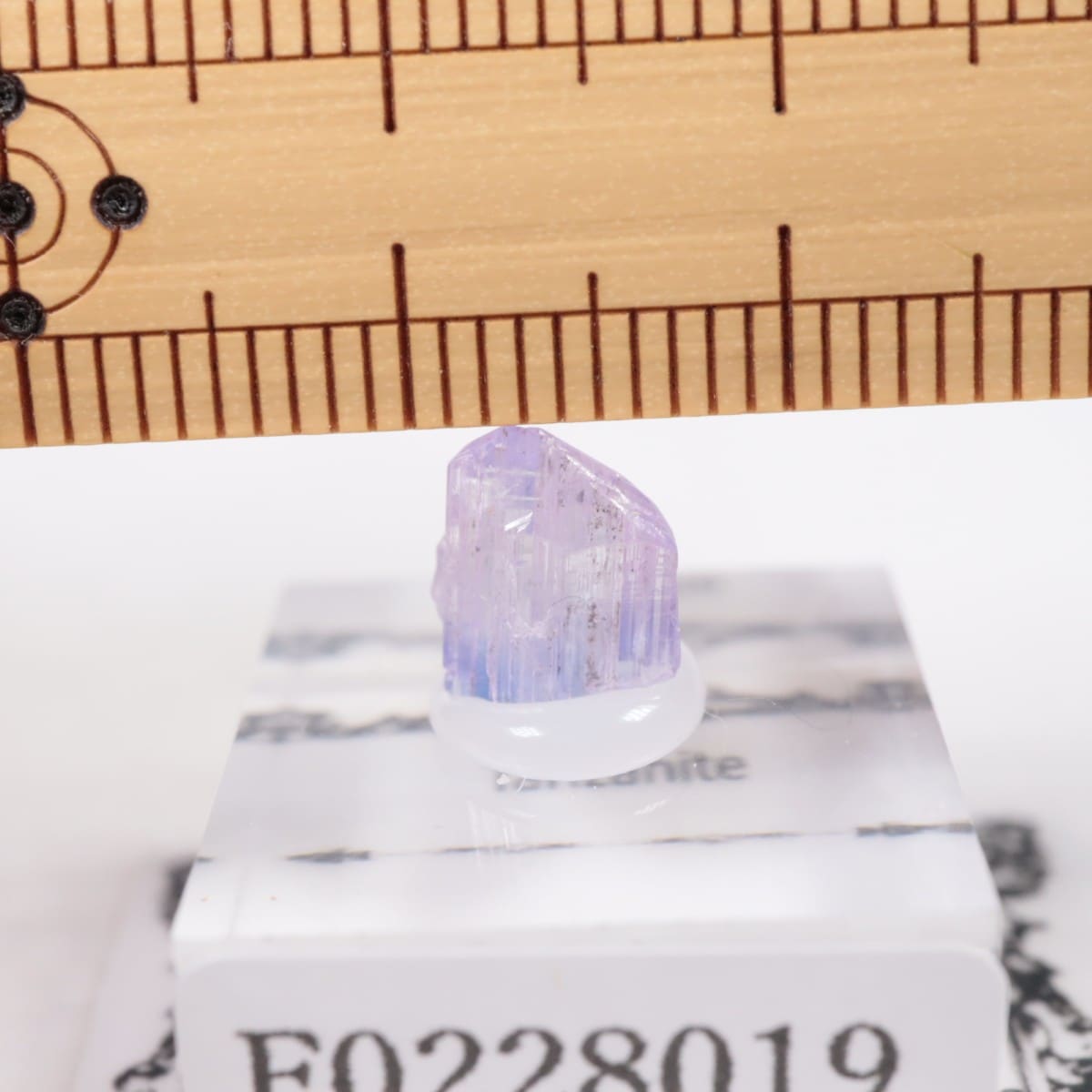 ����˥ҥ륺�� ���󥶥ʥ���