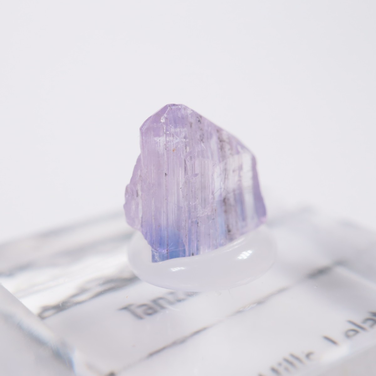 ����˥ҥ륺�� ���󥶥ʥ���