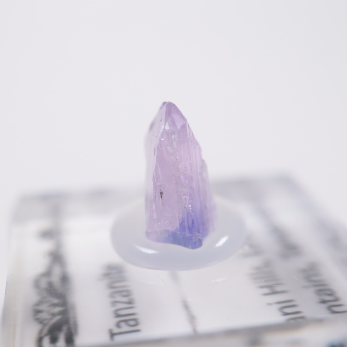 ����˥ҥ륺�� ���󥶥ʥ���