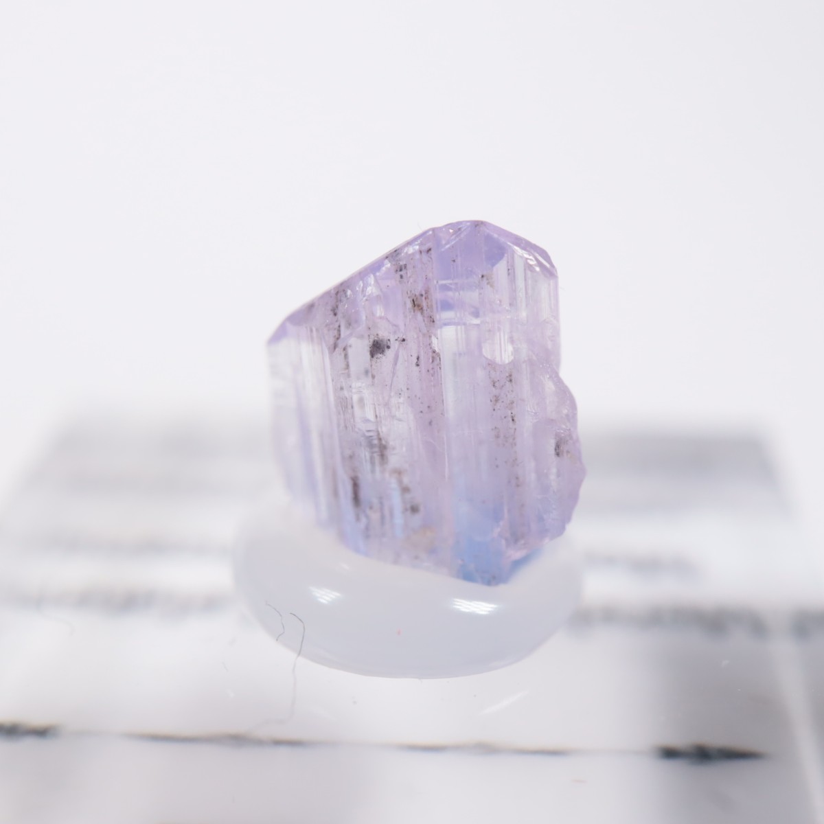 ����˥ҥ륺�� ���󥶥ʥ���