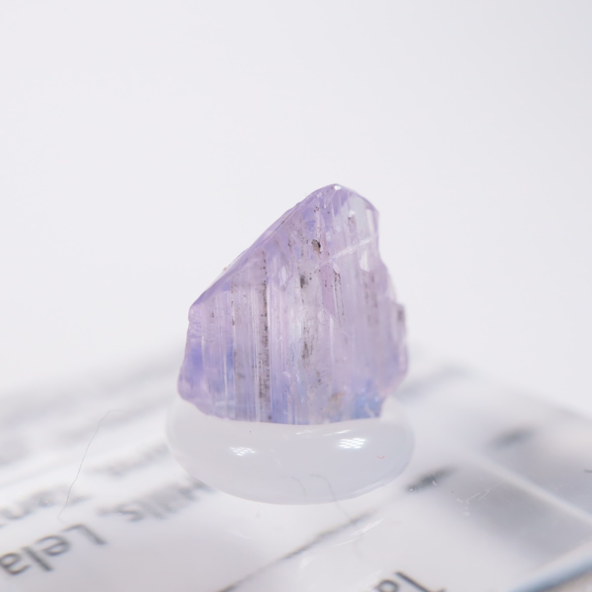 ����˥ҥ륺�� ���󥶥ʥ���