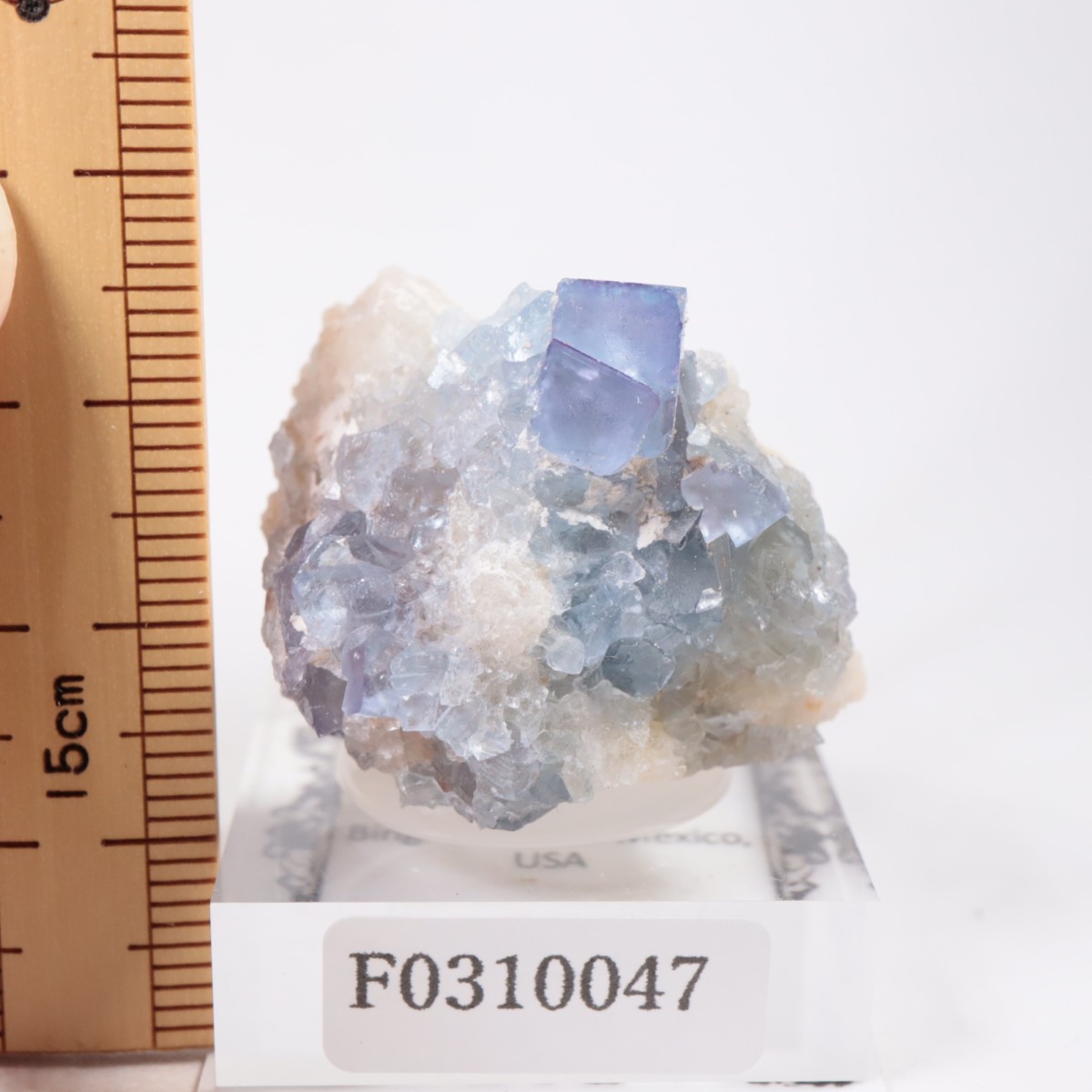 �˥塼�ᥭ������ �ե����饤��