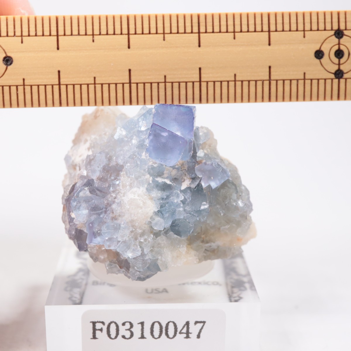 �˥塼�ᥭ������ �ե����饤��