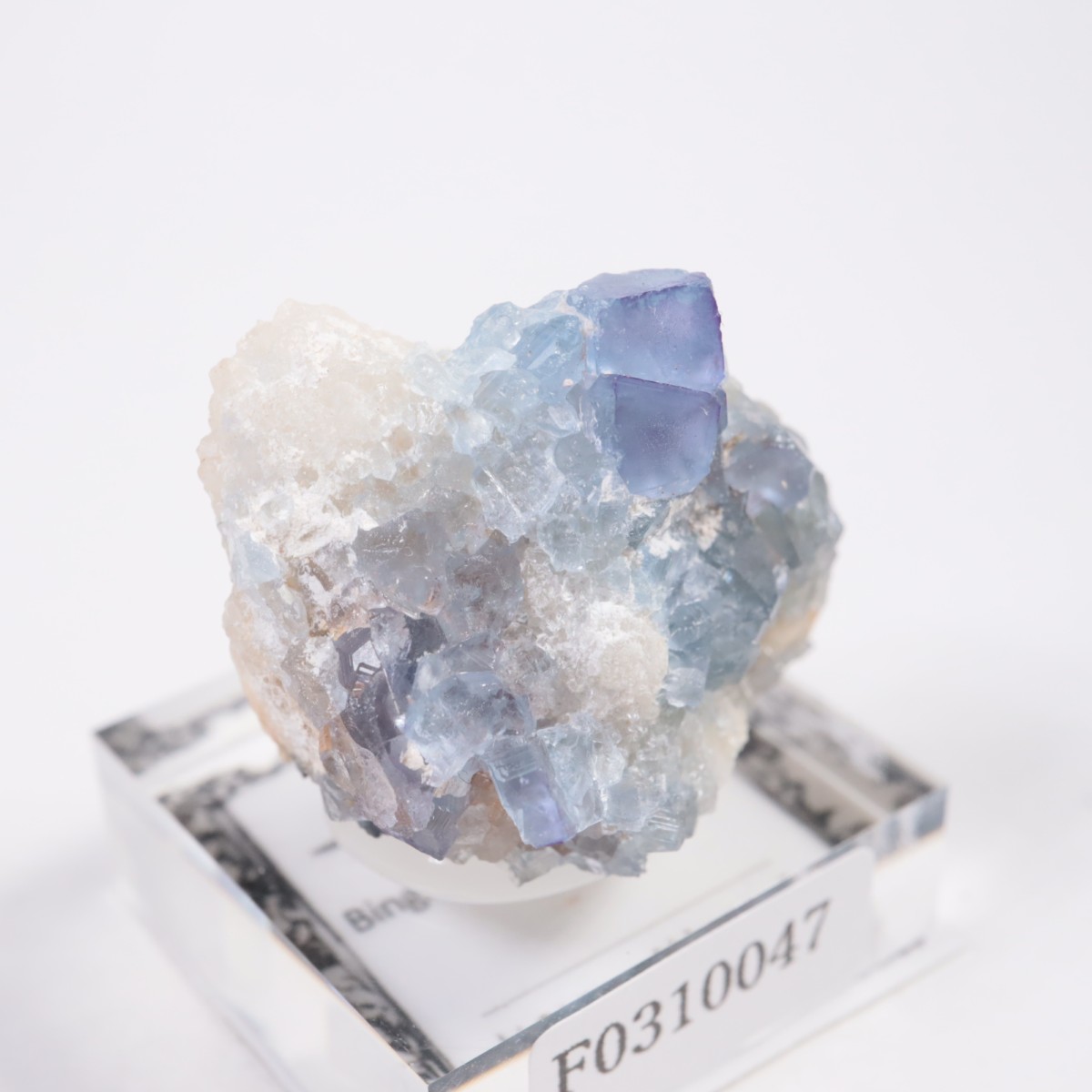 �˥塼�ᥭ������ �ե����饤��