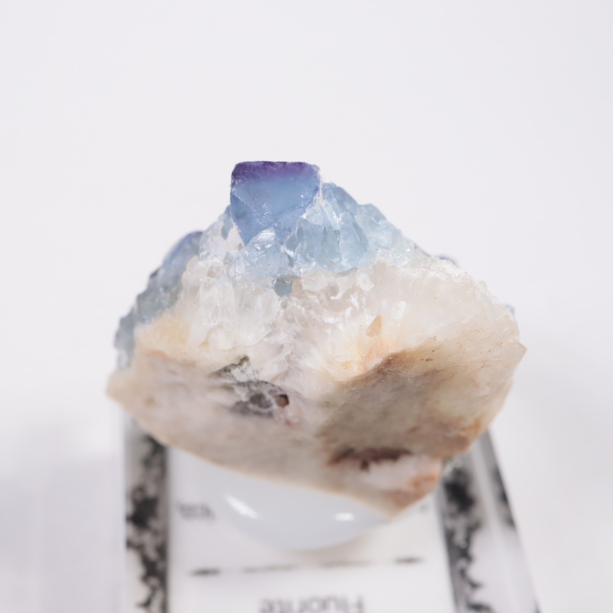 �˥塼�ᥭ������ �ե����饤��