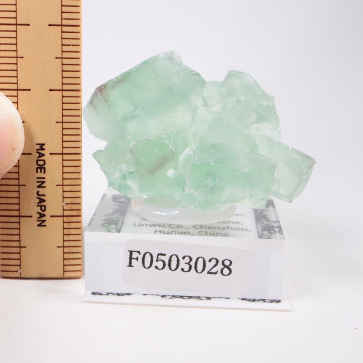 シャンファーリン産 フローライト | 鉱物標本,ハ行,フローライト/蛍石