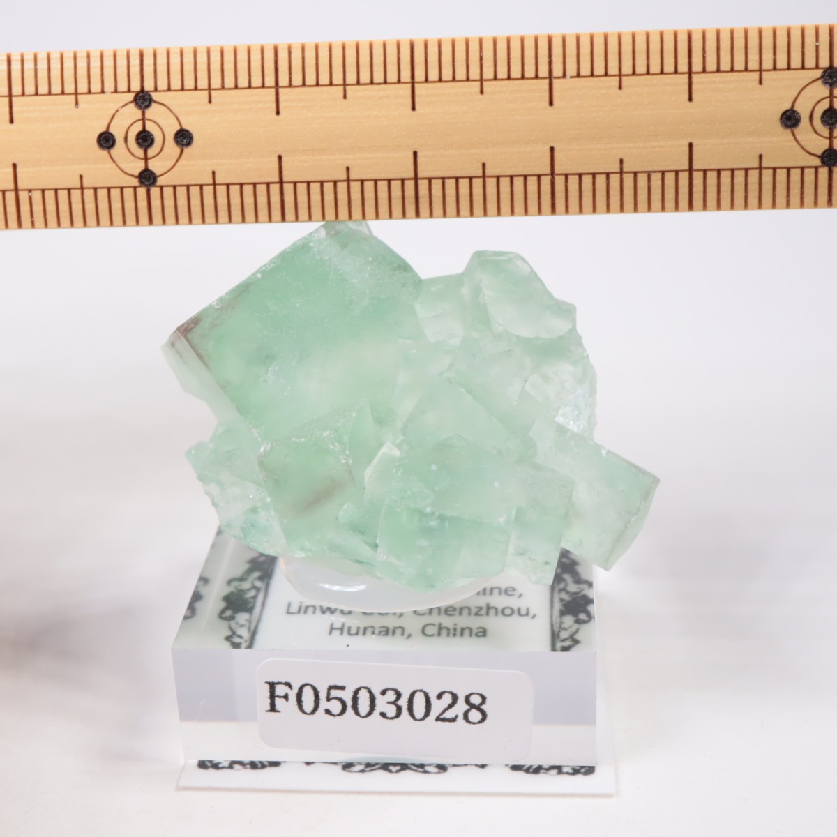 �����ե������ �ե����饤��