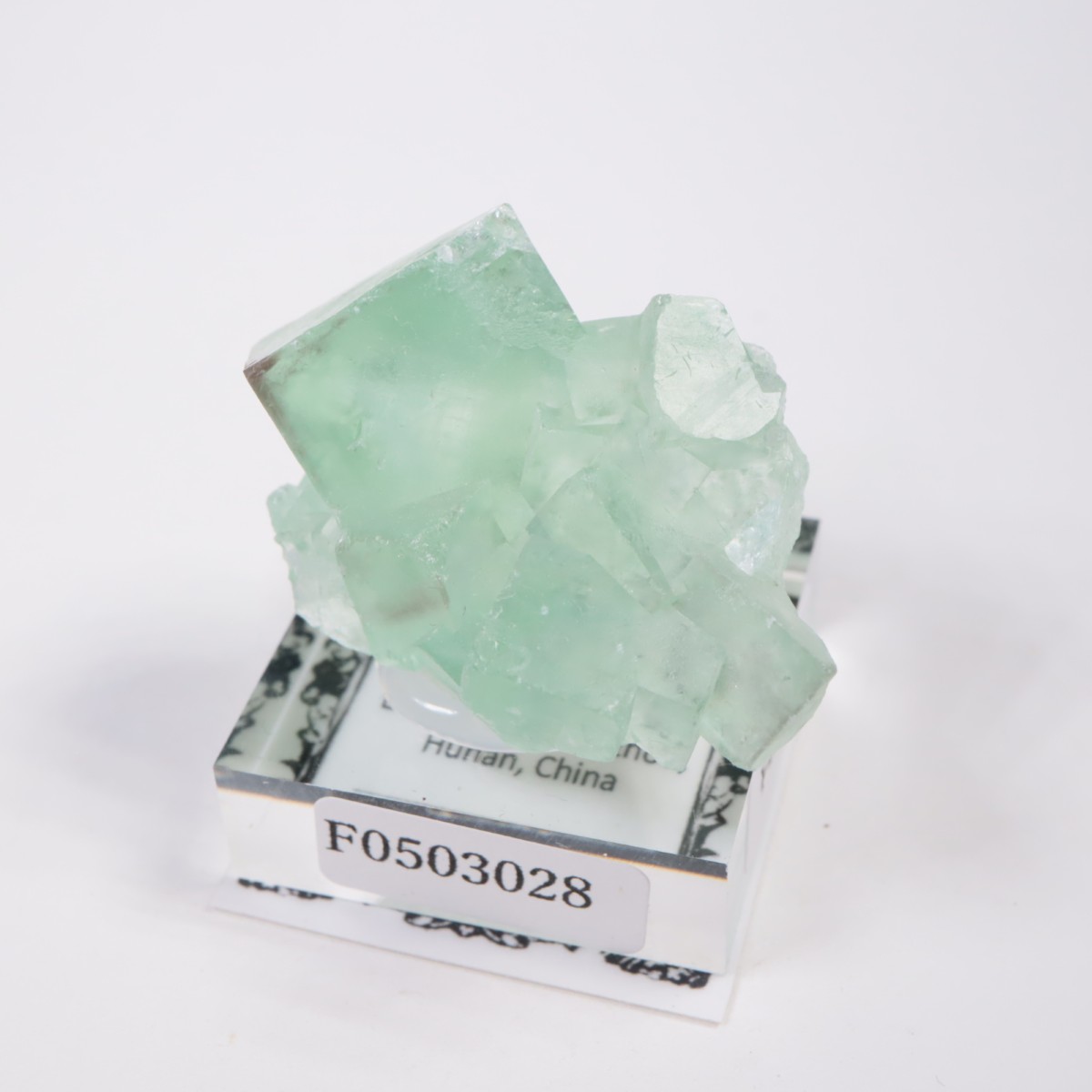 �����ե������ �ե����饤��