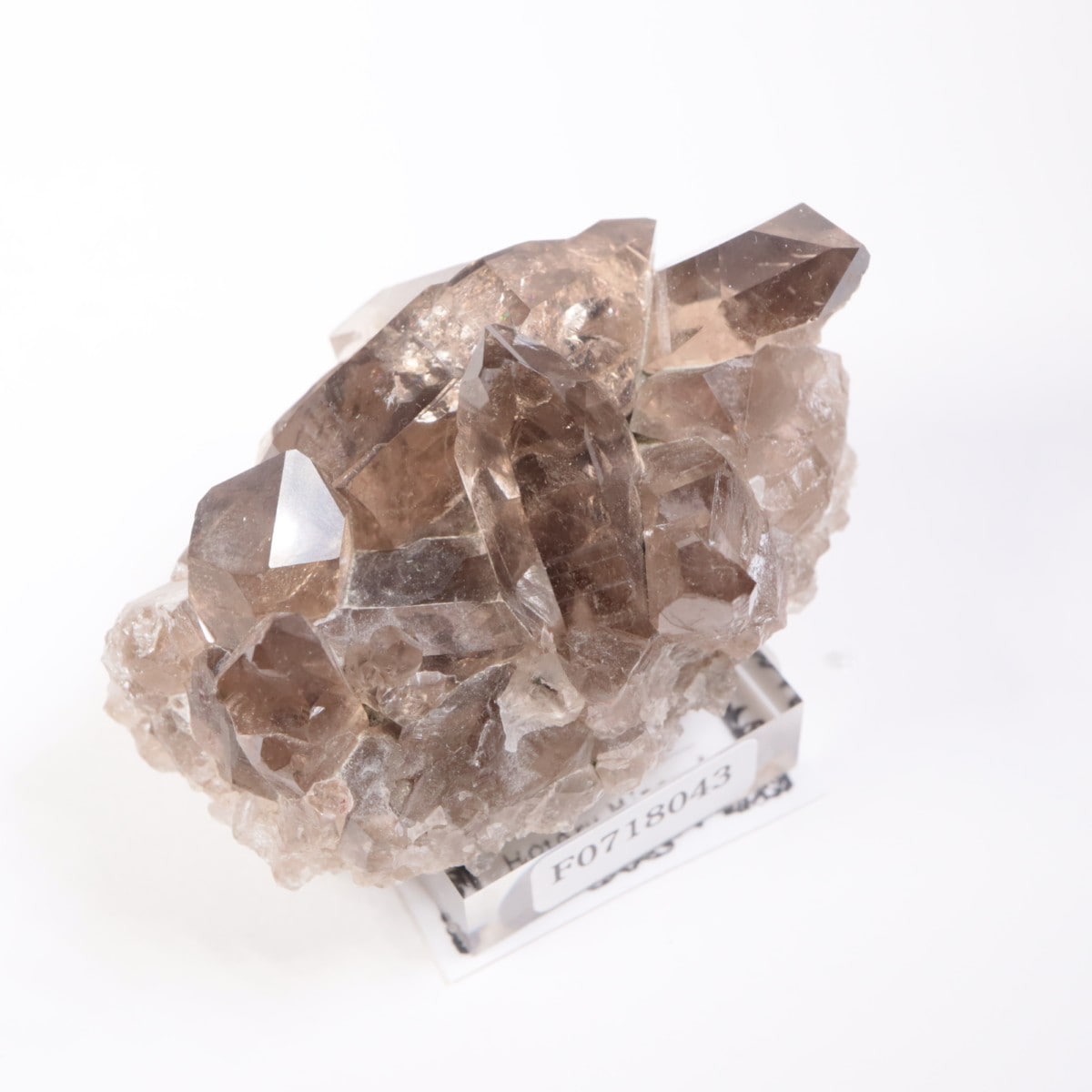 �ե�󥹻������⡼������������