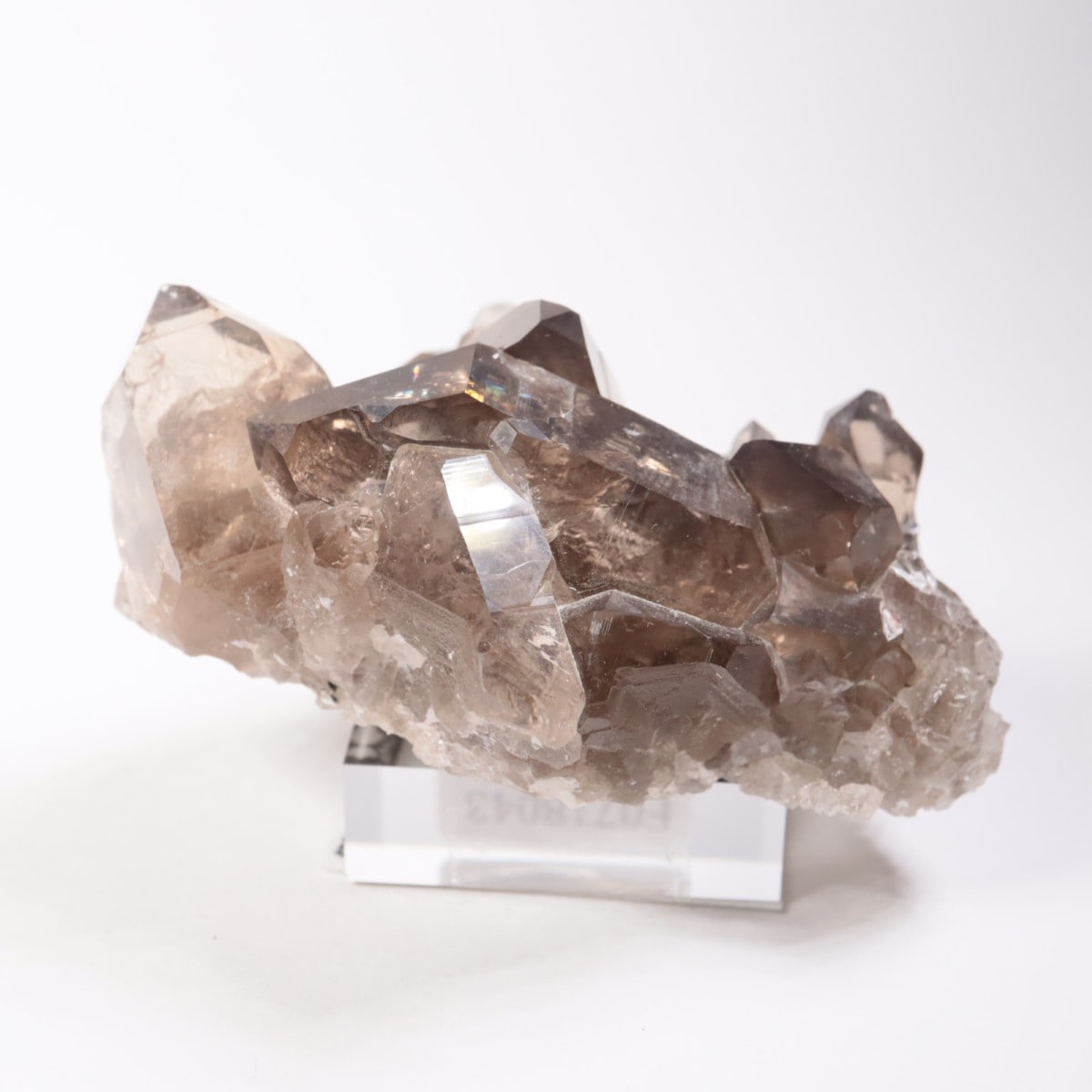 �ե�󥹻������⡼������������