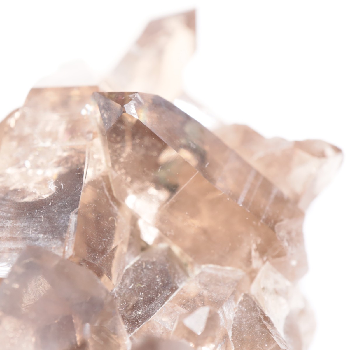 �ե�󥹻������⡼������������