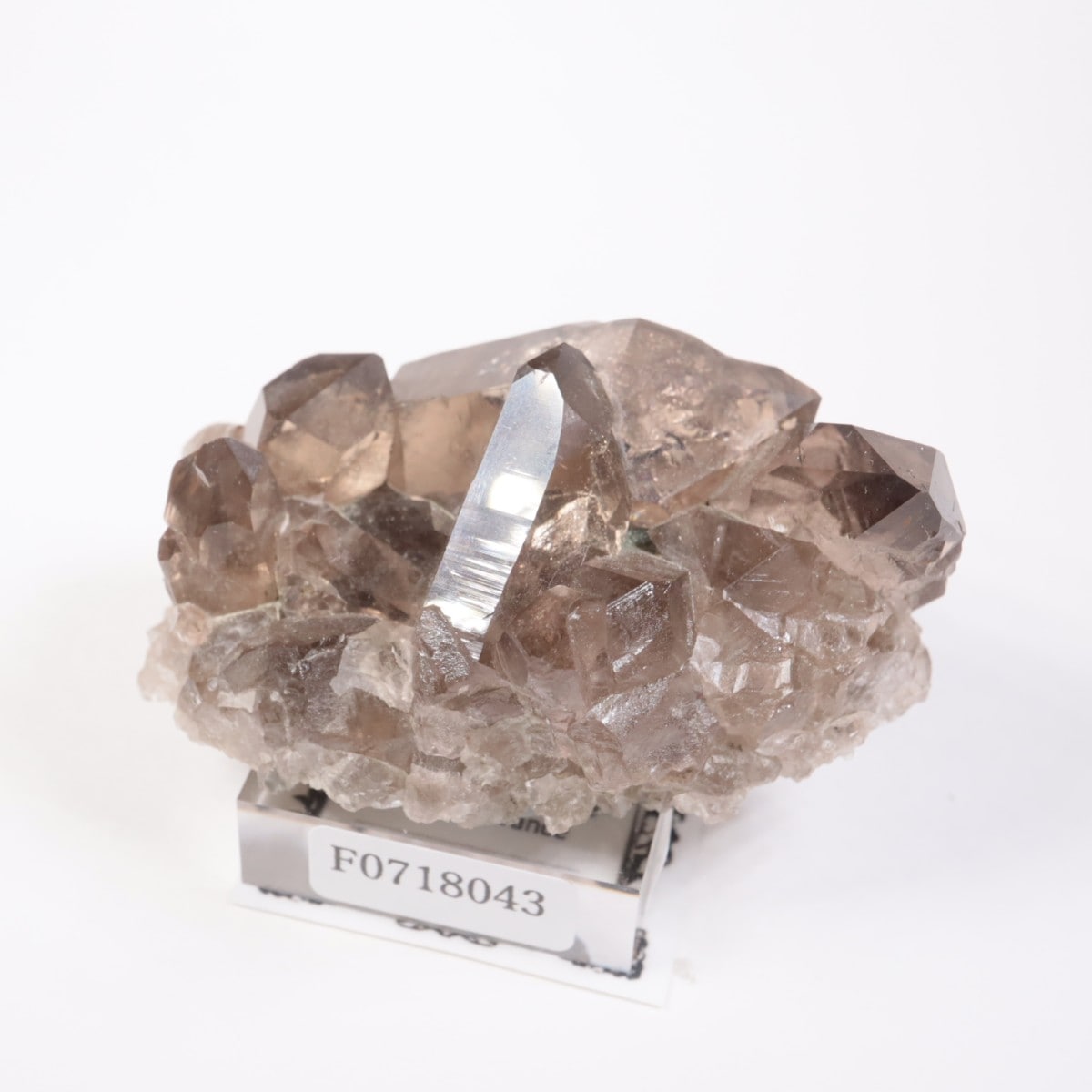 �ե�󥹻������⡼������������