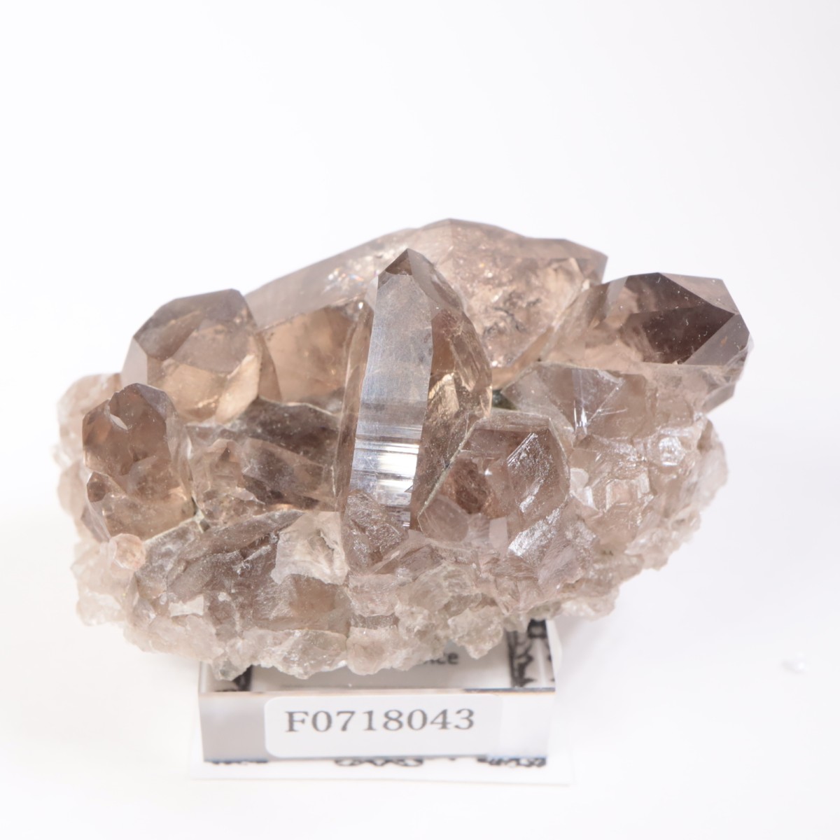 �ե�󥹻������⡼������������