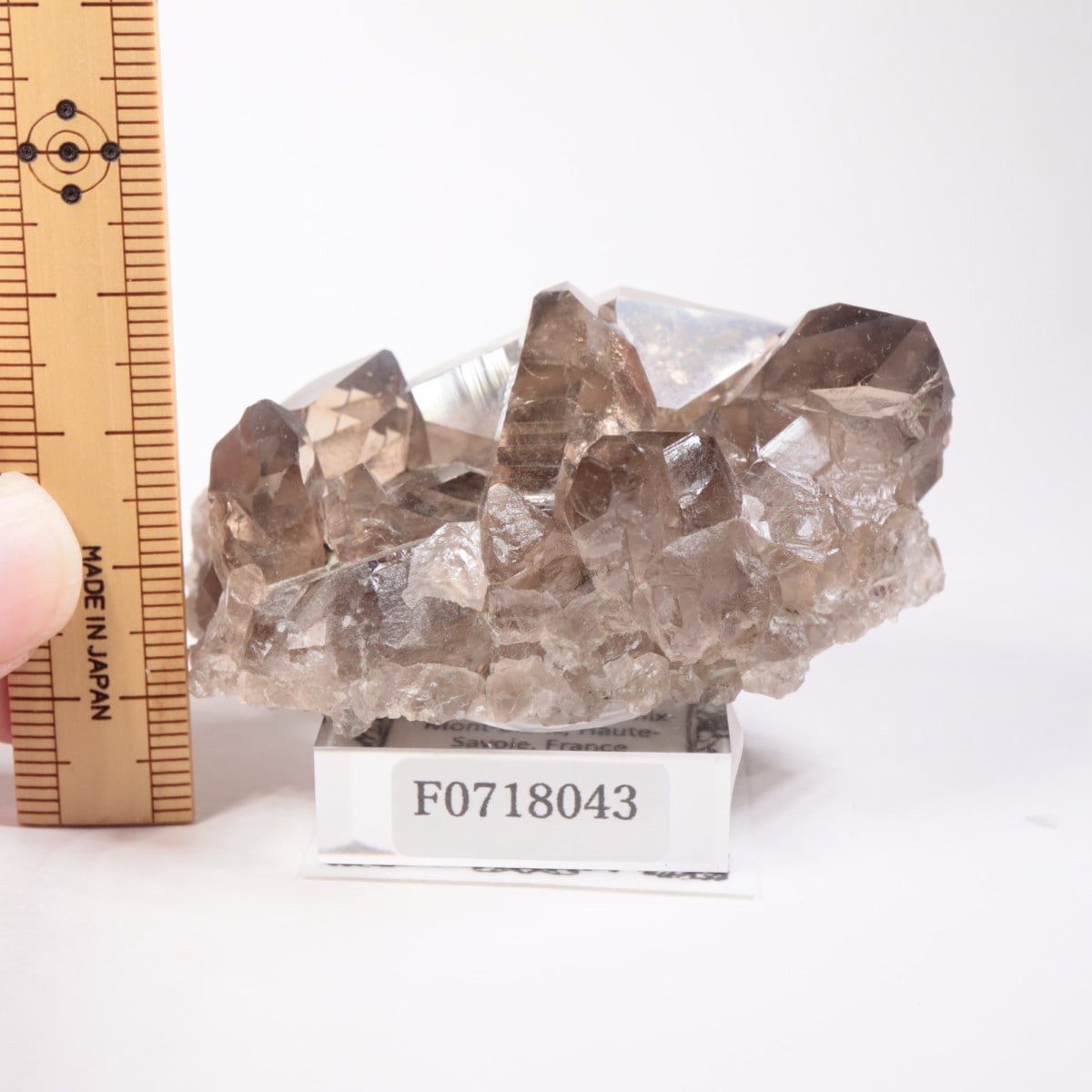 �ե�󥹻������⡼������������