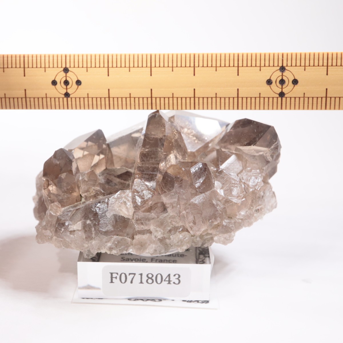 �ե�󥹻������⡼������������