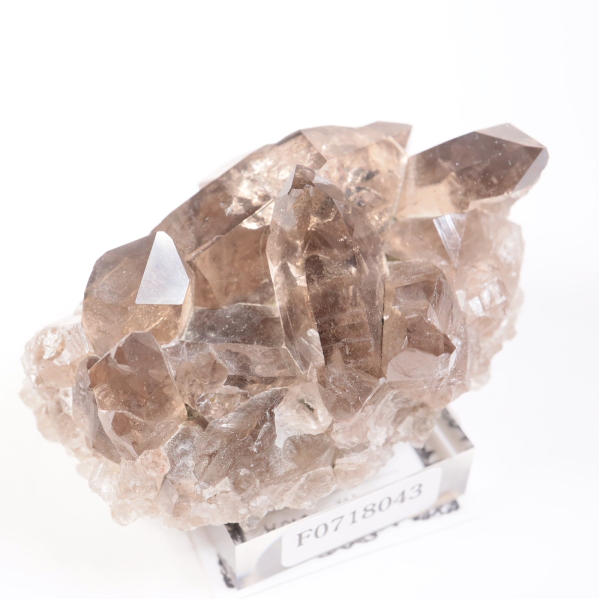 �ե�󥹻������⡼������������