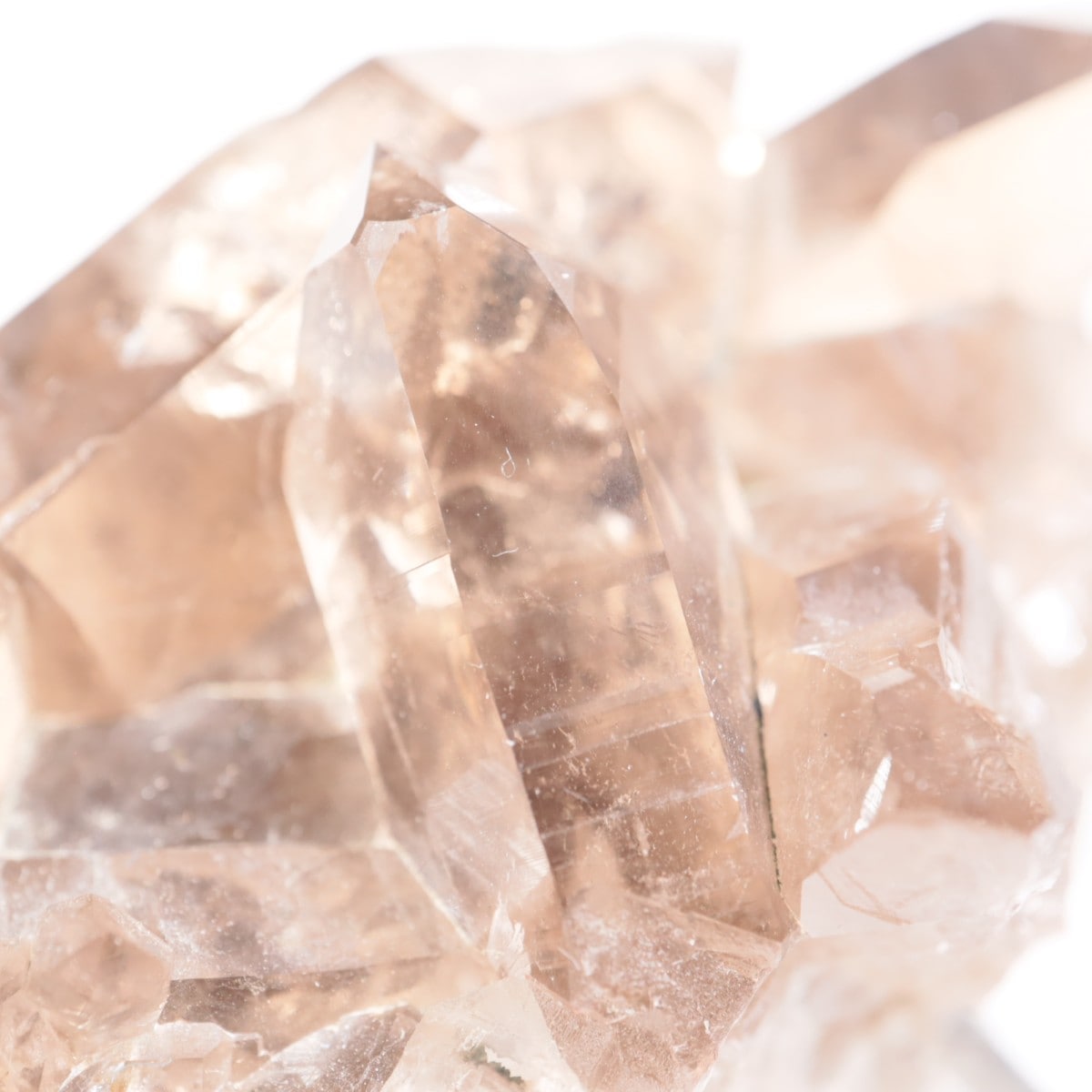 �ե�󥹻������⡼������������