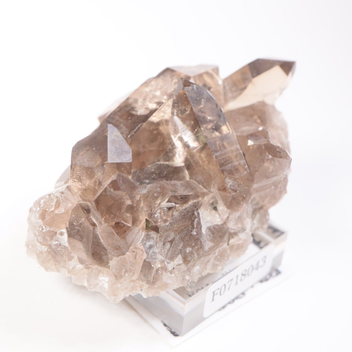 �ե�󥹻������⡼������������