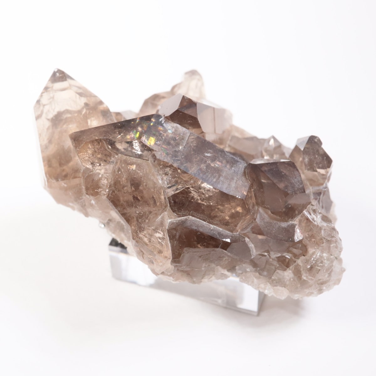 �ե�󥹻������⡼������������