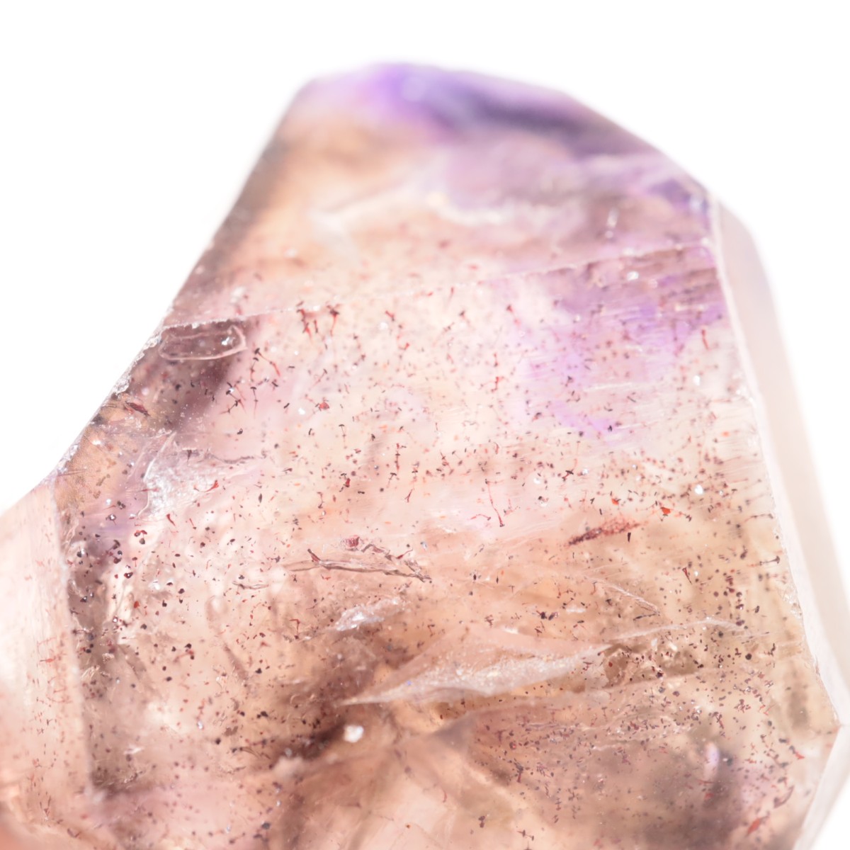 Chibuku�ۻ��� ���᥷����