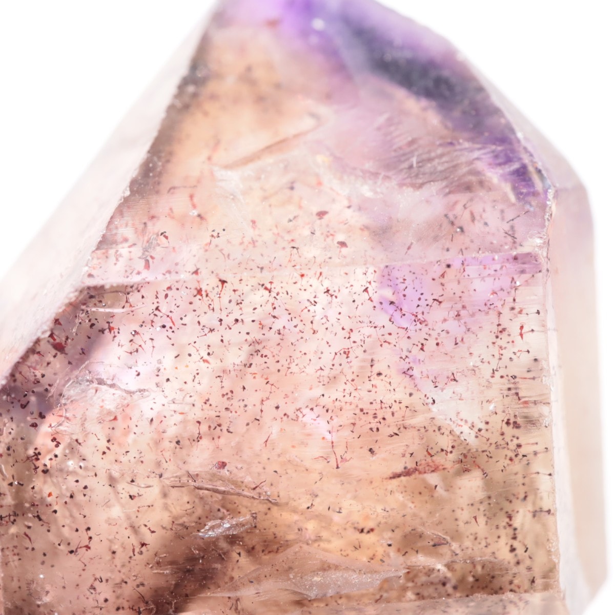 Chibuku�ۻ��� ���᥷����