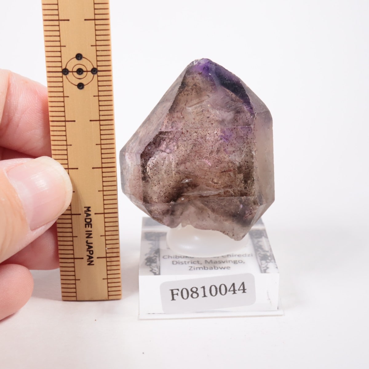 Chibuku�ۻ��� ���᥷����