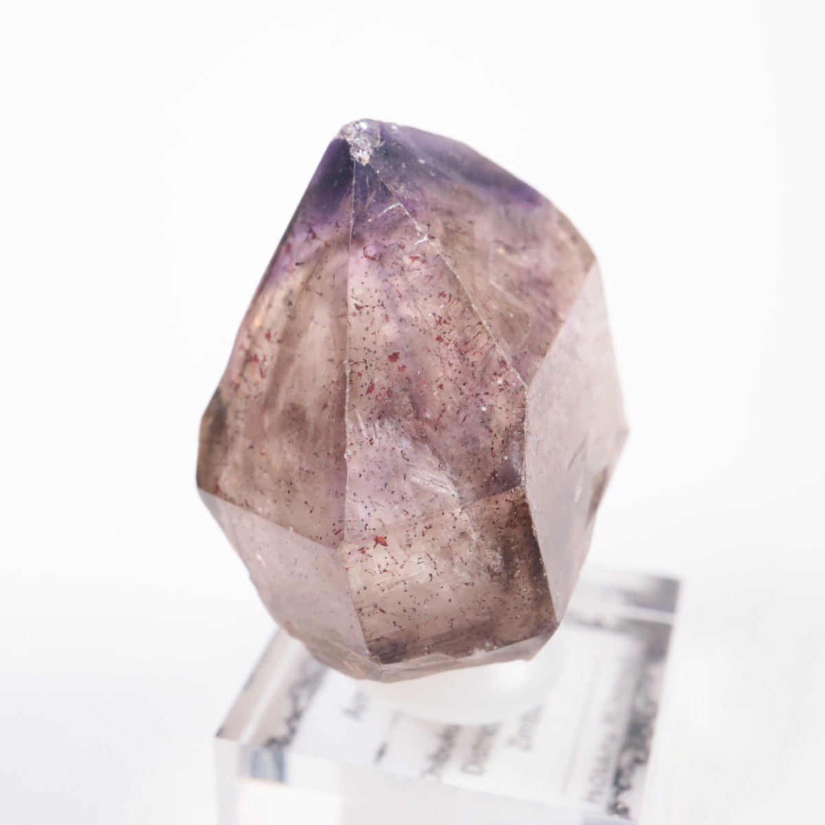 Chibuku�ۻ��� ���᥷����