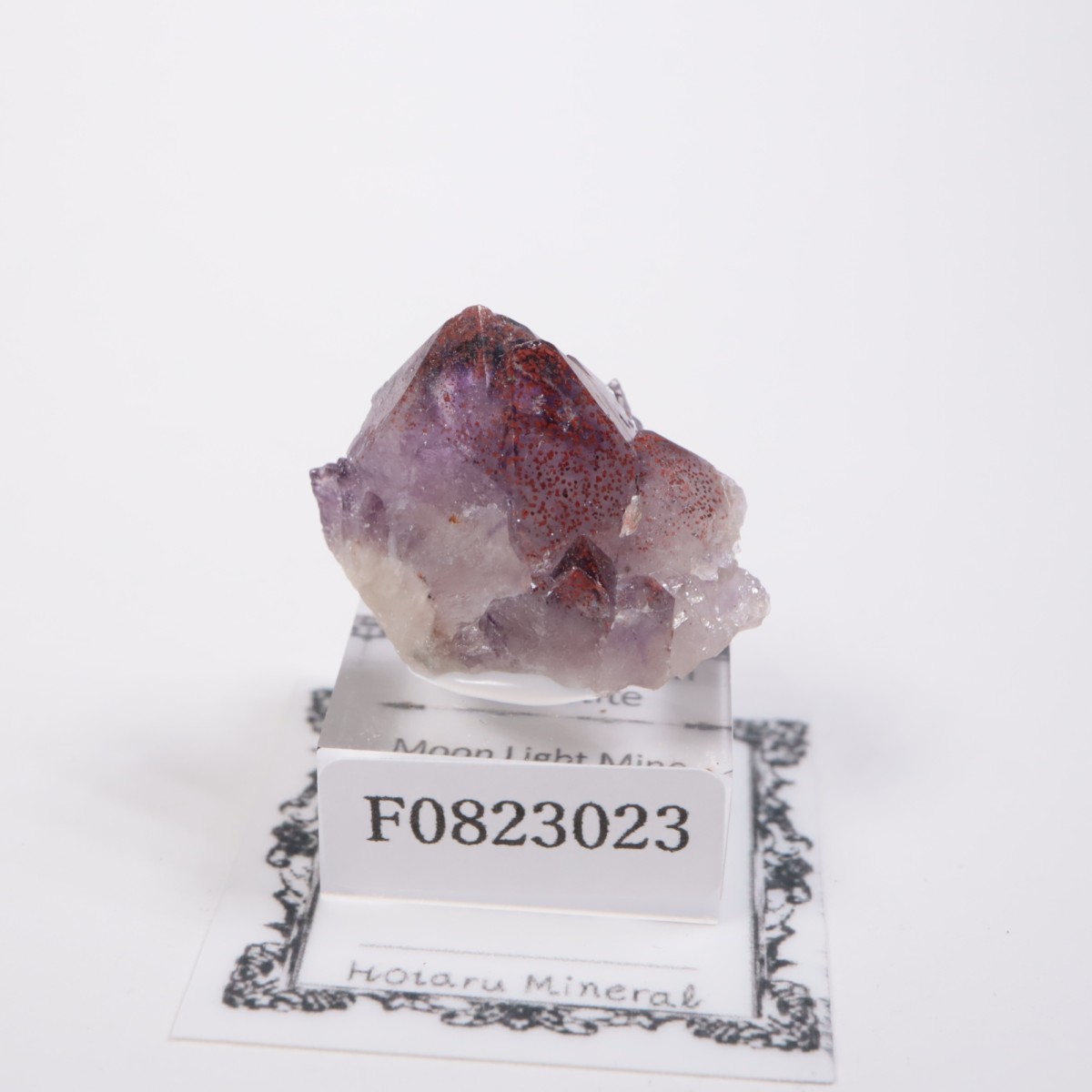 Moon Light�ۻ� ���᥷����with�إޥ�����