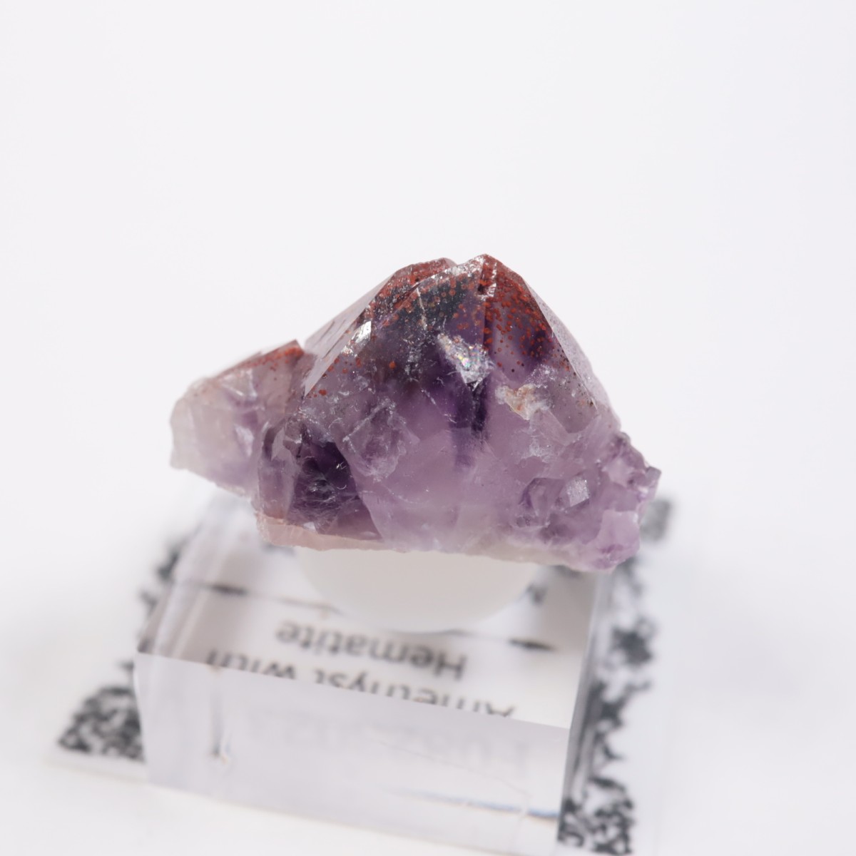 Moon Light�ۻ� ���᥷����with�إޥ�����