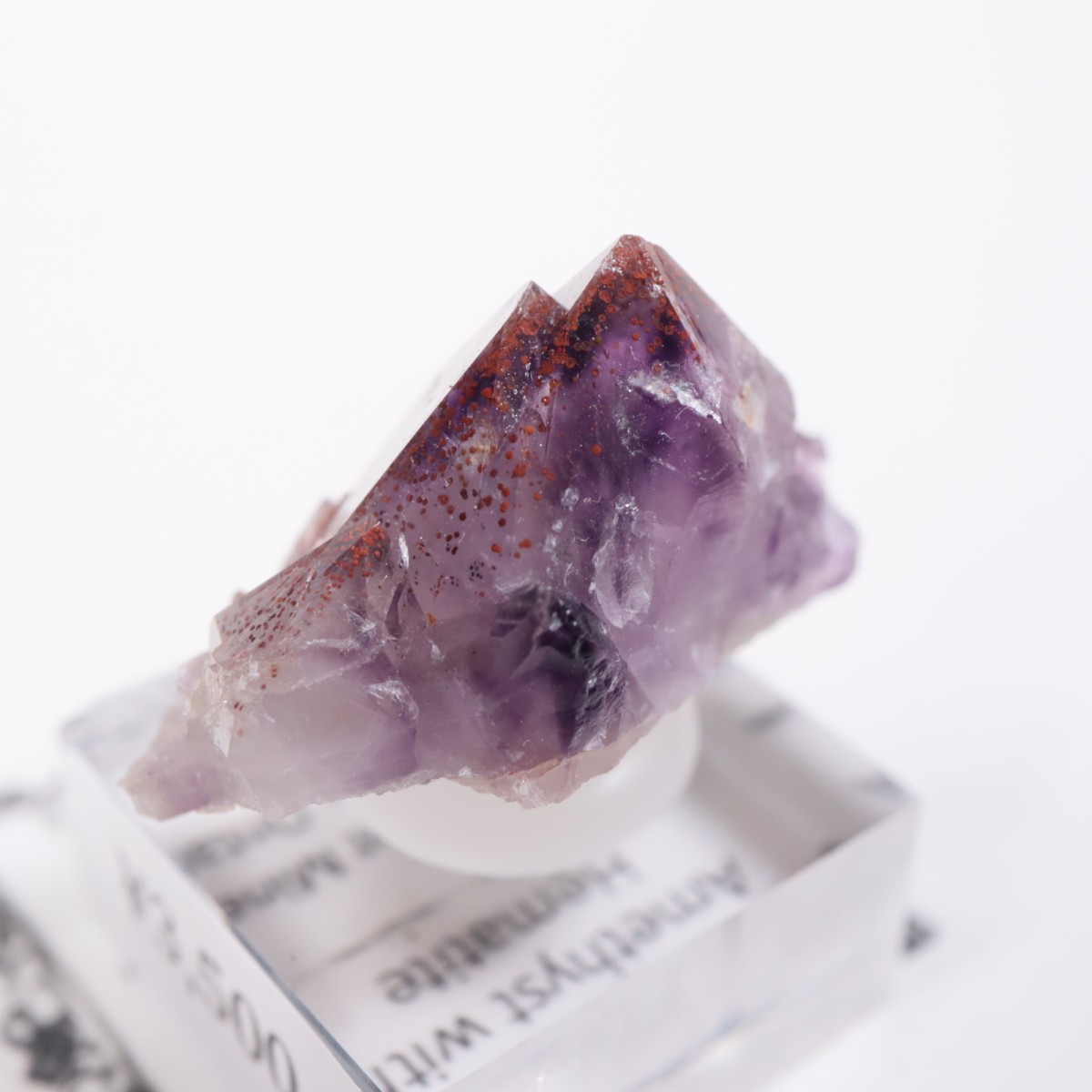 Moon Light�ۻ� ���᥷����with�إޥ�����