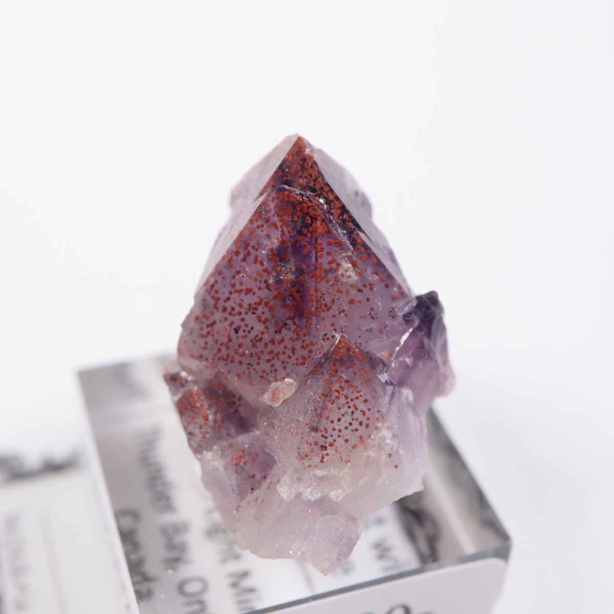 Moon Light�ۻ� ���᥷����with�إޥ�����