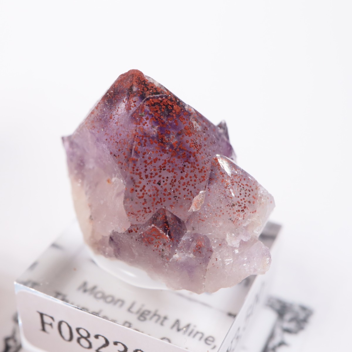 Moon Light�ۻ� ���᥷����with�إޥ�����