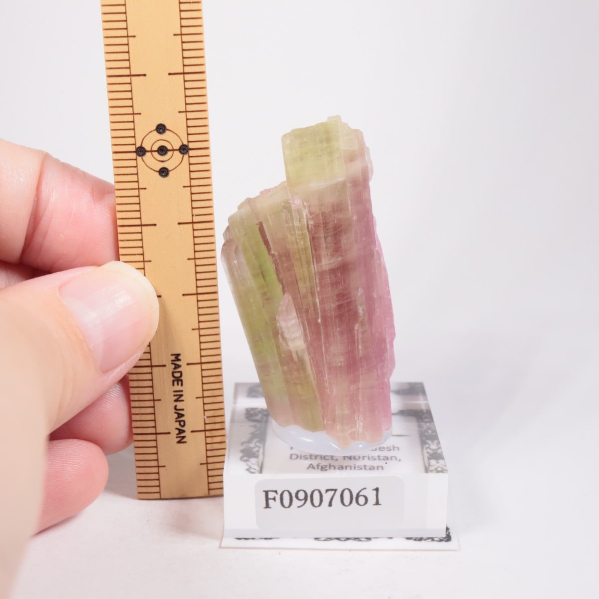 ���ե��˥����� �ȥ�ޥ��